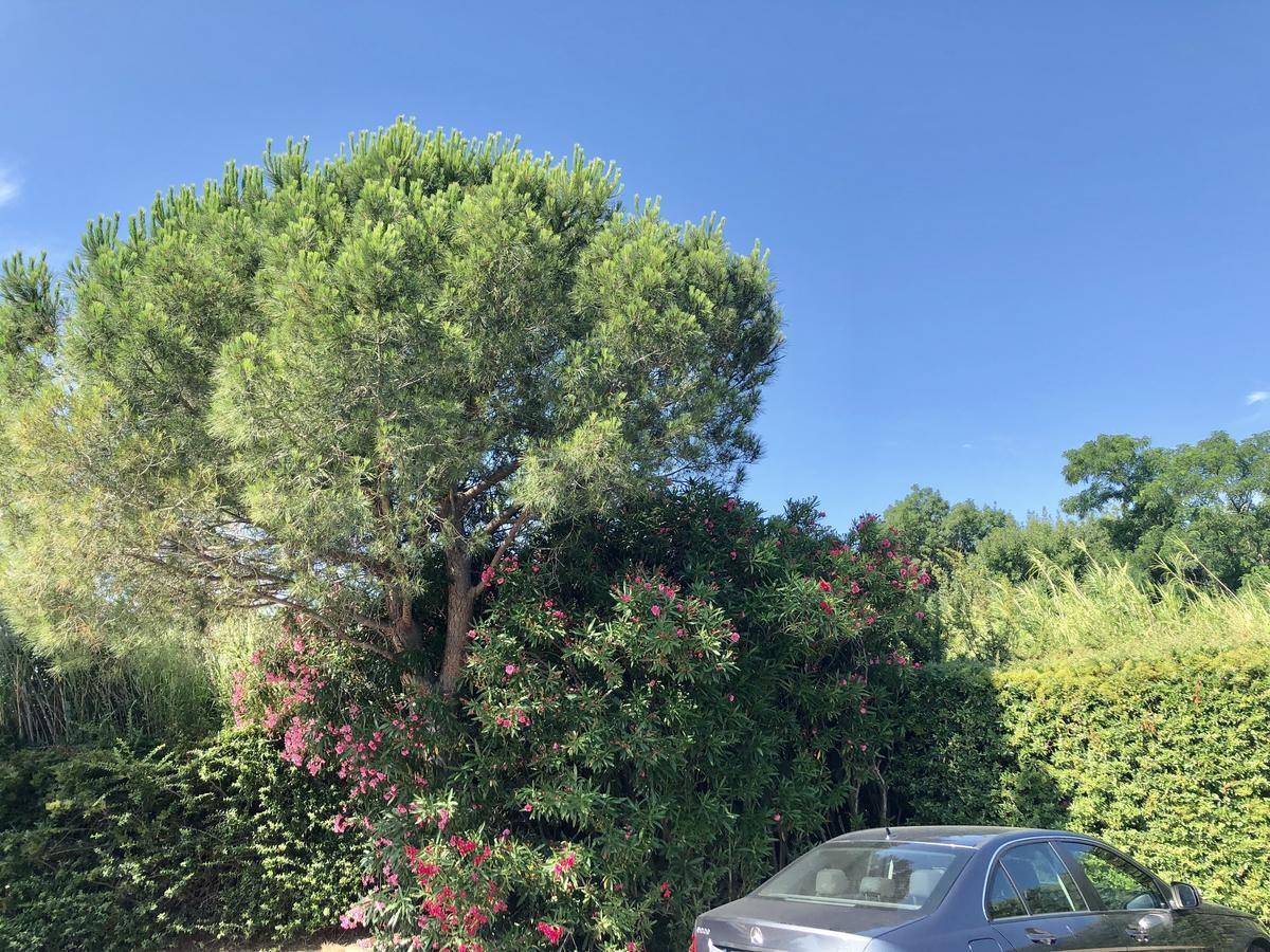 Premiere Classe Perpignan Sud Екстер'єр фото
