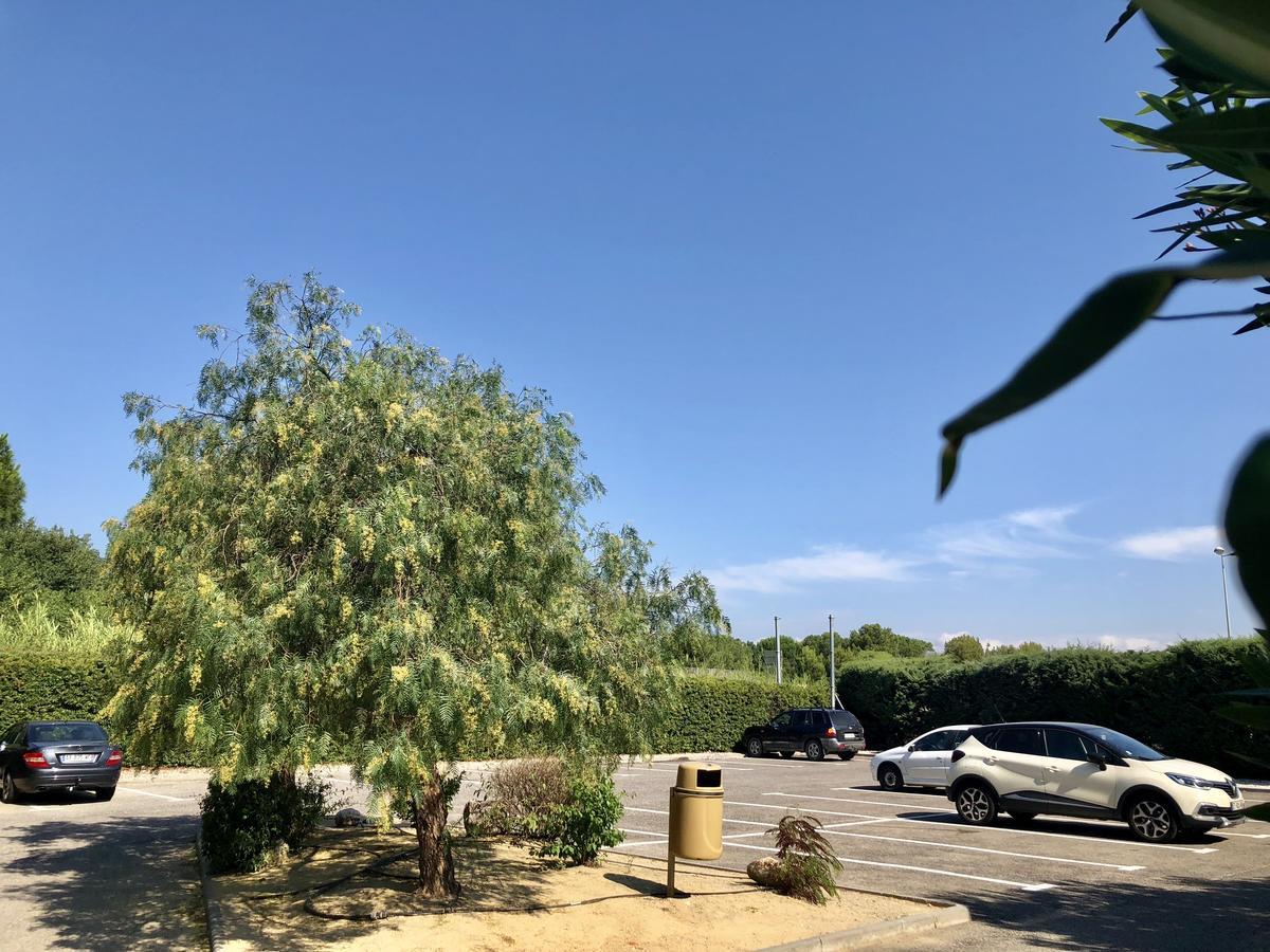 Premiere Classe Perpignan Sud Екстер'єр фото